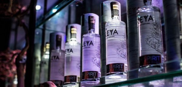 Freya Birch Spirit: um sabor selvagem nórdico
