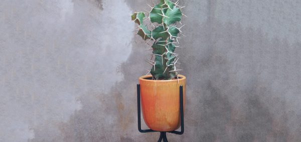 Favoritos do mês de Agosto - com as melhores dicas pra sair e/ou pra ficar em casa! | EAMR