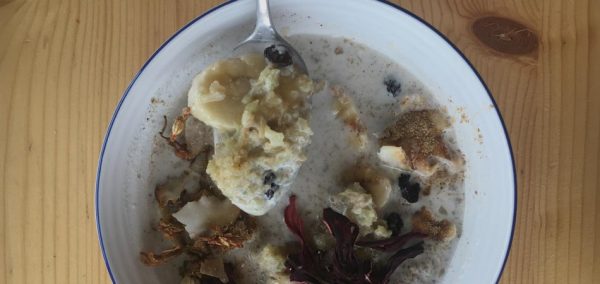Receita de Mingau “Grain Free” de Arroz de Couve-Flor | EAMR