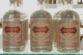 Conheça o Arapuru Gin, Primeiro London Dry Gin Brasileiro | EAMR